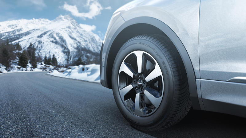 BFGoodrich Advantage All Season - celoročná pneu s 3PMSF