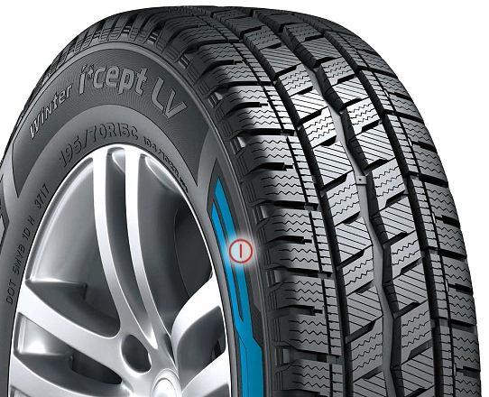 Hankook RW12 - Winter i*cept LV - Odolnosť