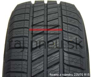 Delinte C AW6 VAN 103T