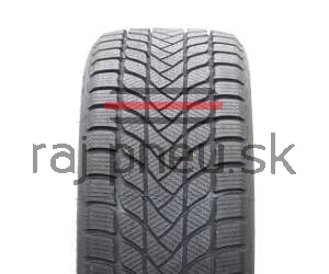 Landsail Winter Lander 98H Zimné